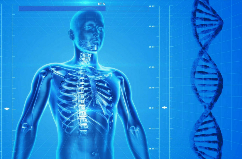 O conteúdo biológico na Nova Medicina Germânica
