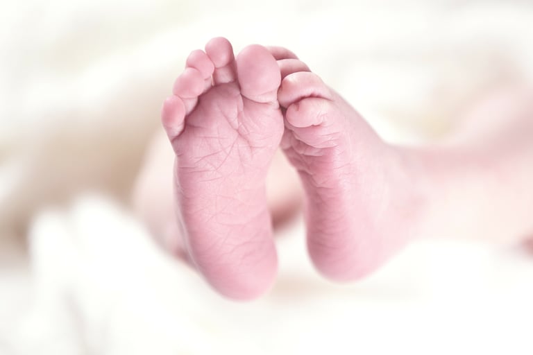 As duas possíveis causas da Microcefalia sob o olhar da Germânica Heilkunde