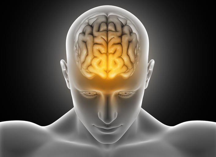 A terapia da Nova Medicina Germânica