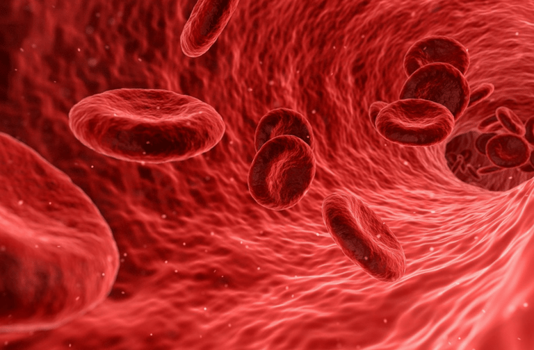 A anemia sob a visão da Medicina Germânica