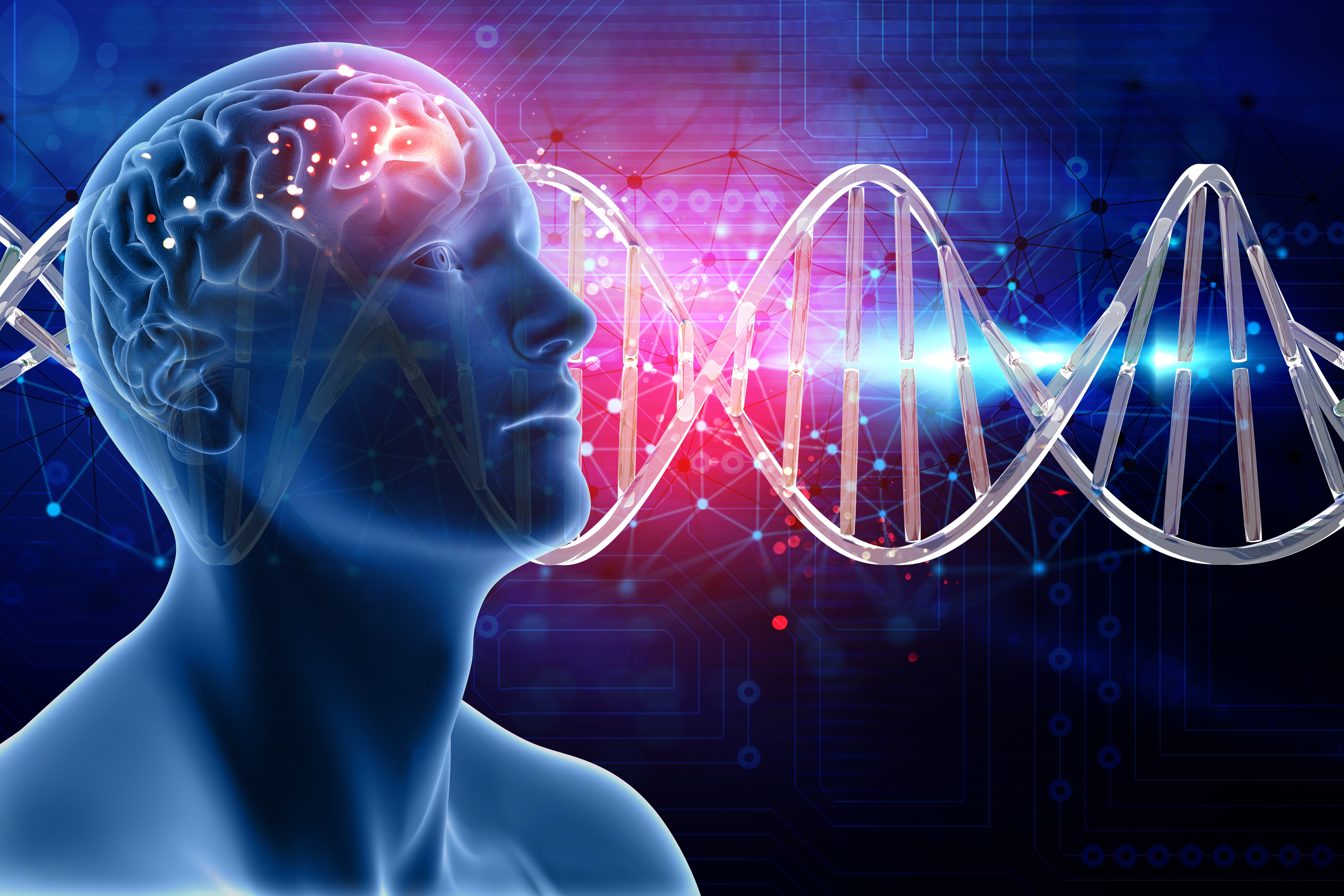 Cinco Leis Biológicas de Dr. Hamer: Saiba tudo aqui